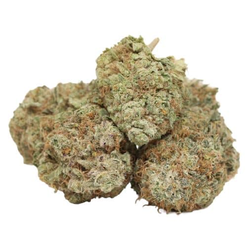 Black Widow strain cannabis