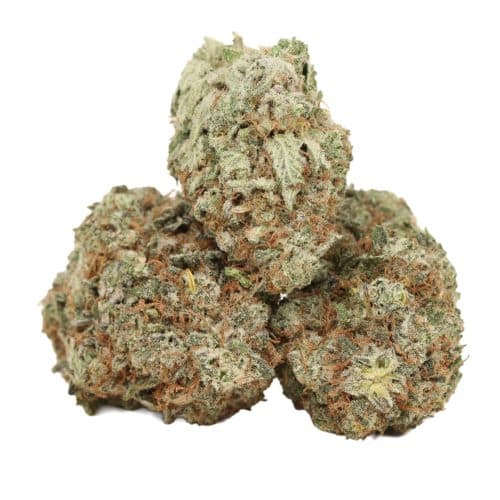 Blackberry Kush strain cannabis