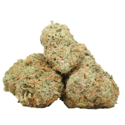 Blue King strain cannabis