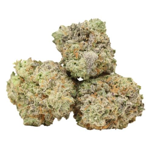 Blue King strain cannabis