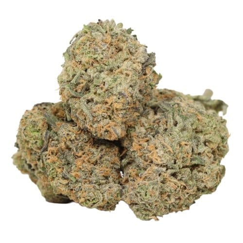 Blueberry Pancakes strain cannabis