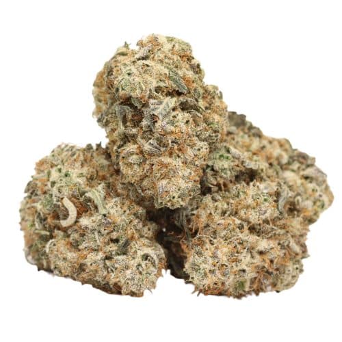 Bruce Banner strain cannabis