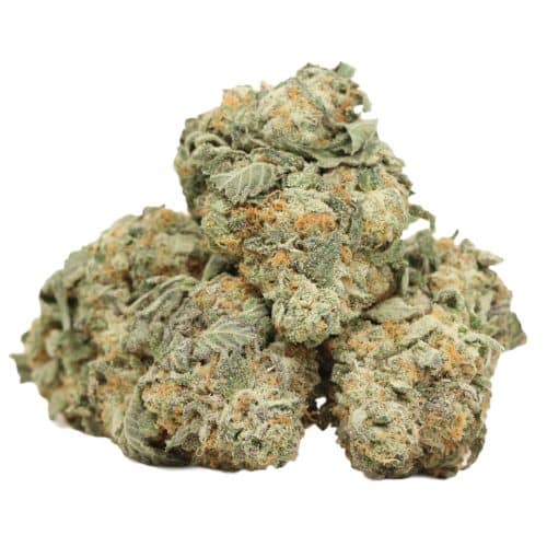 Cali Bubba Kush strain cannabis