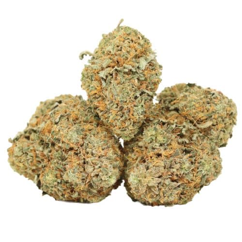 Bubba Kush strain cannabis