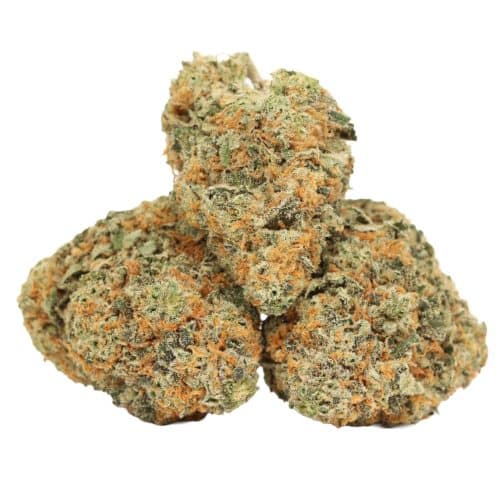 Candyland strain cannabis