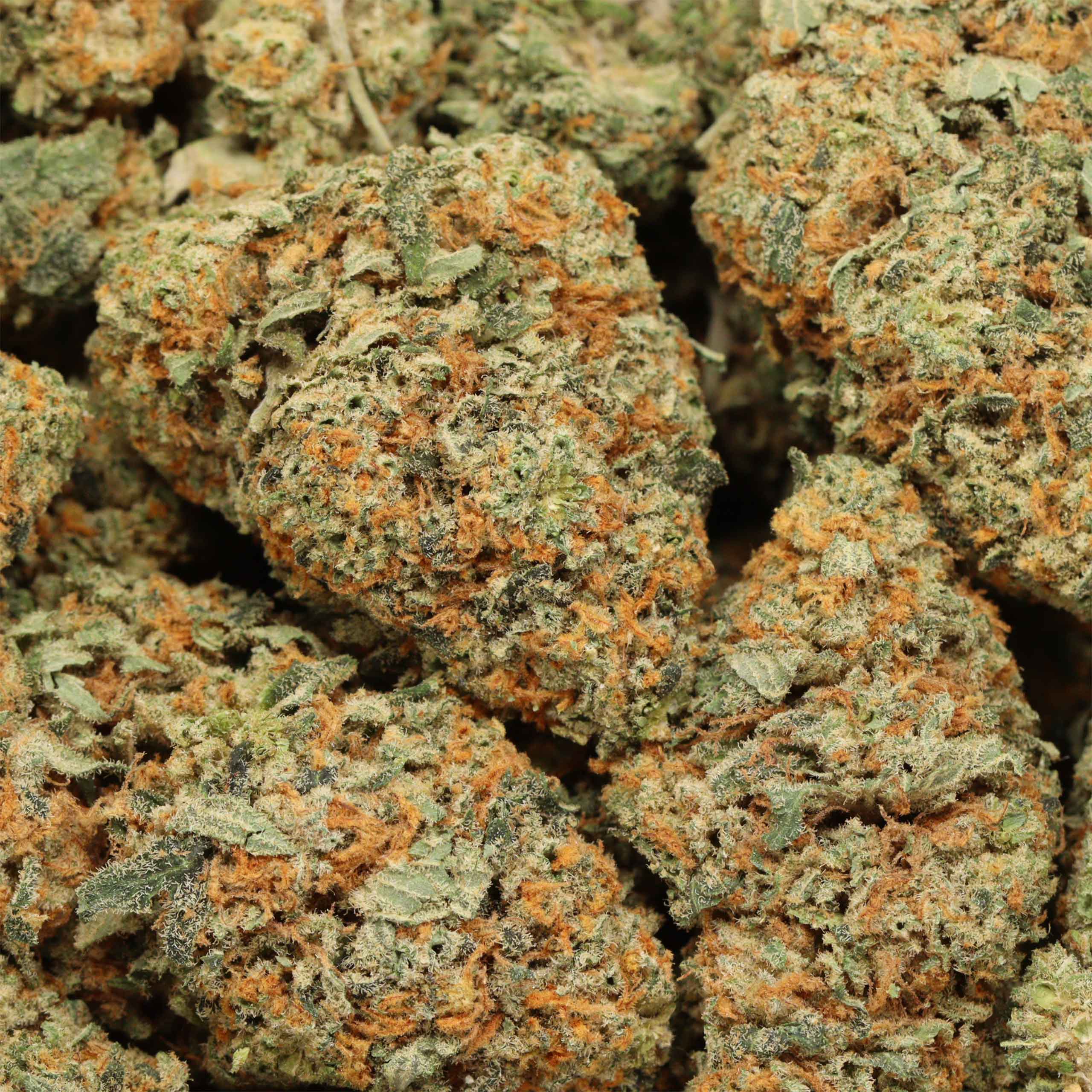 Candyland cannabis wholesale
