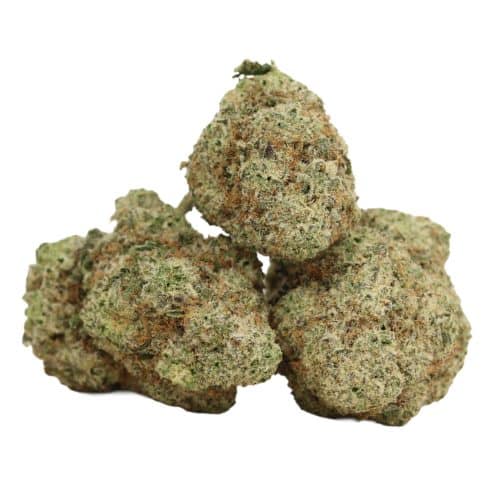 Cartel Kush strain cannabis
