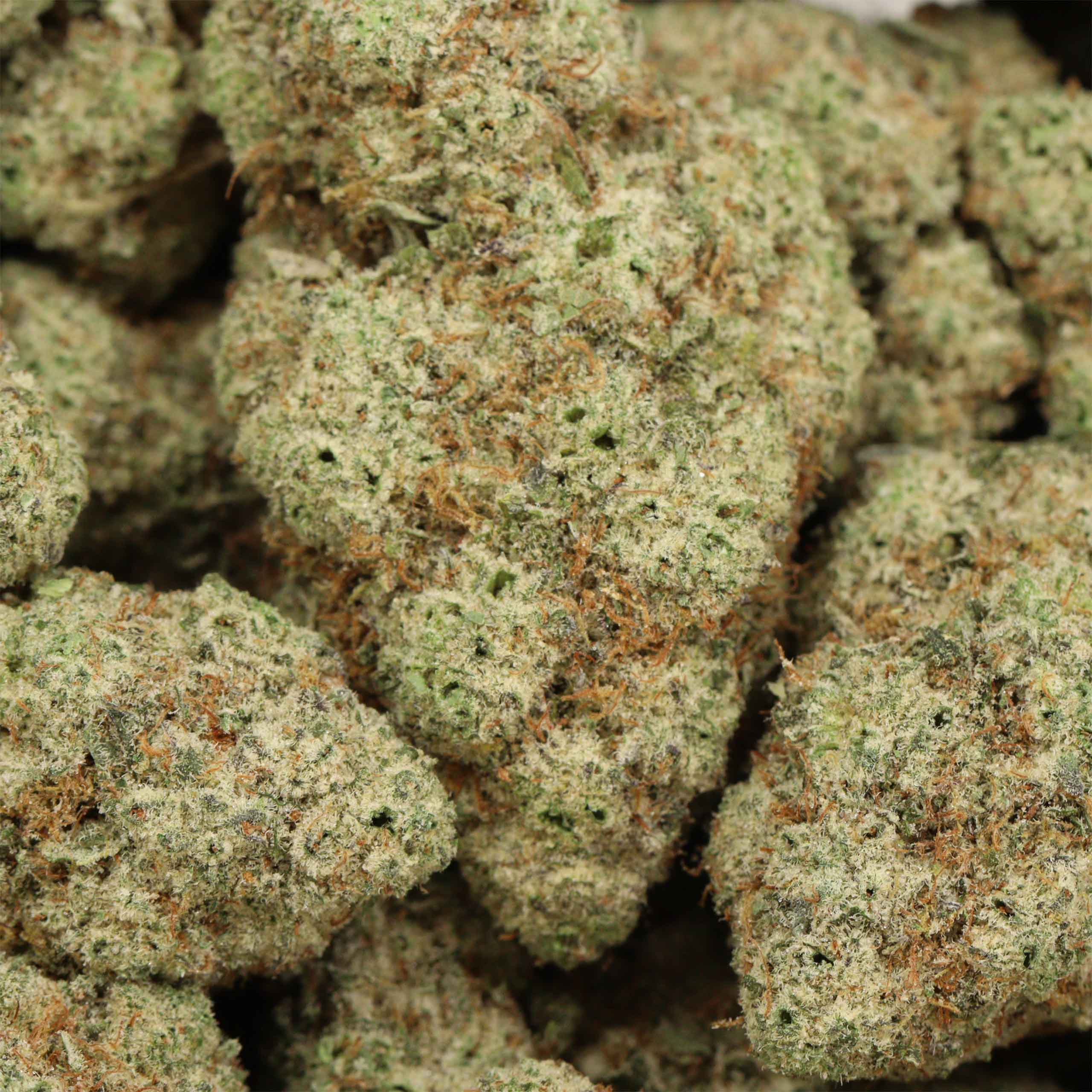 Cartel Kush cannabis wholesale