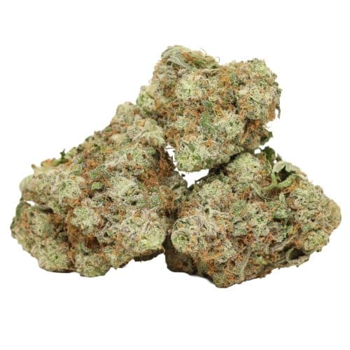 Casey Jones strain cannabis