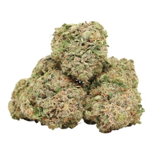 Caviar Pink Kush strain cannabis