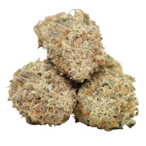 Cereal Milk strain cannabis