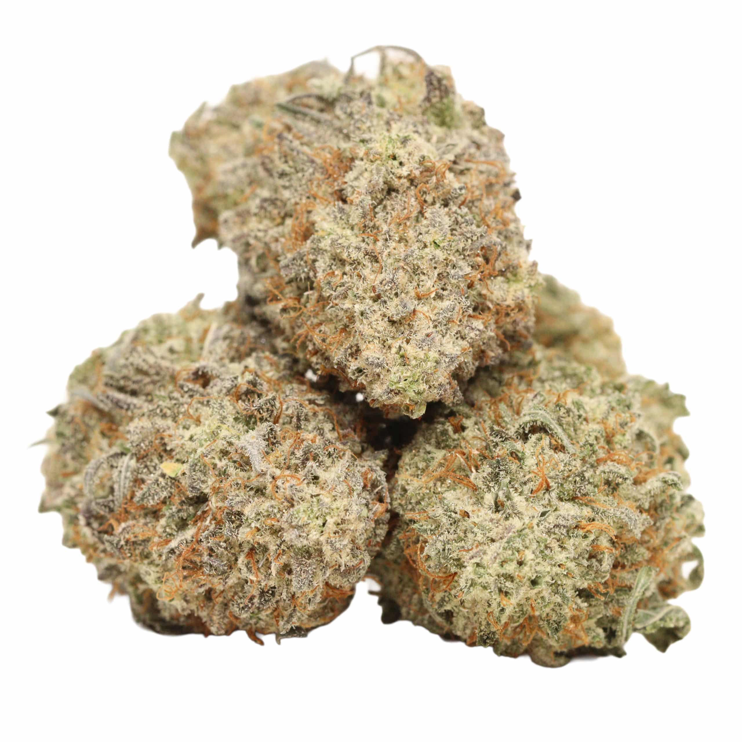 Cereal Milk strain cannabis