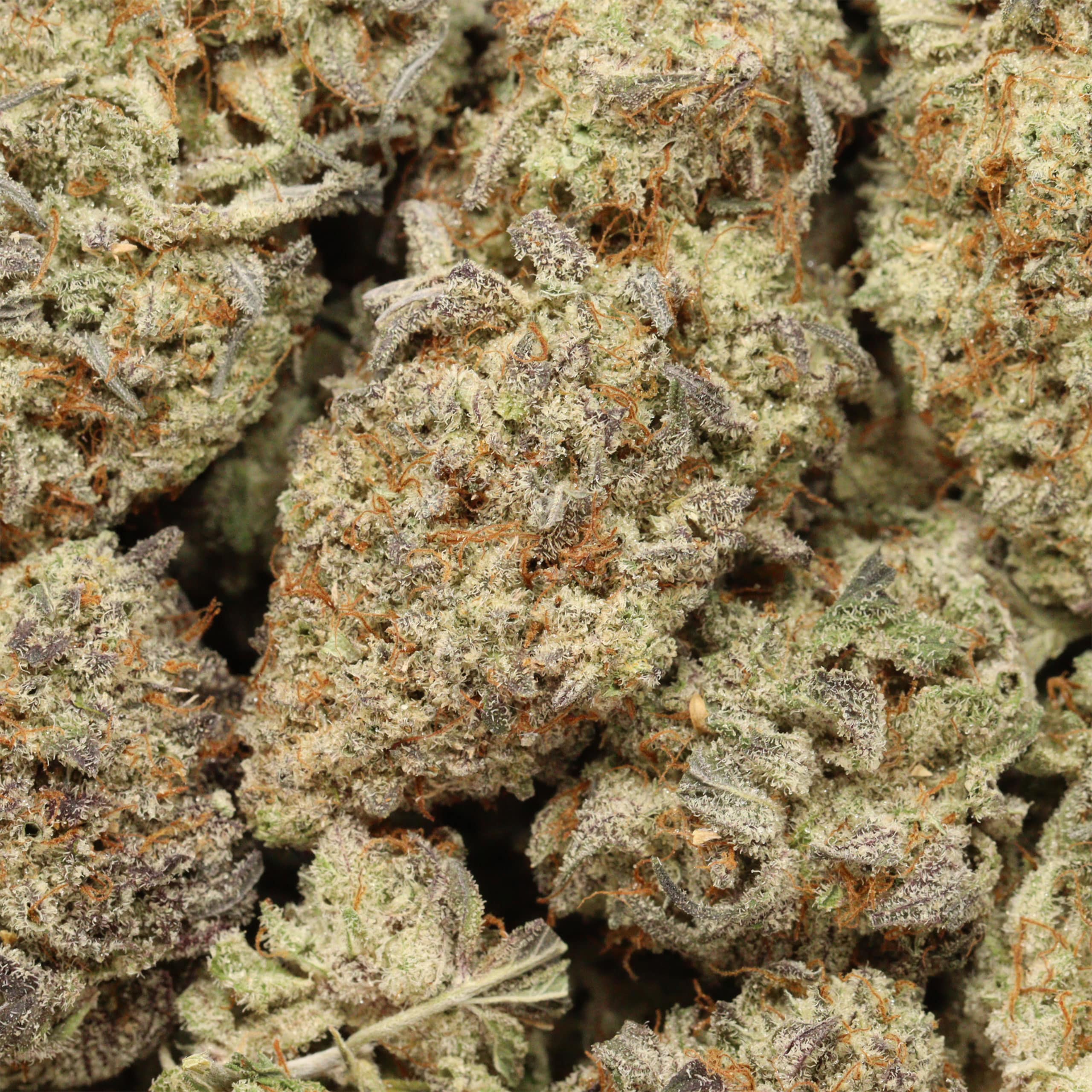 Cereal Milk cannabis