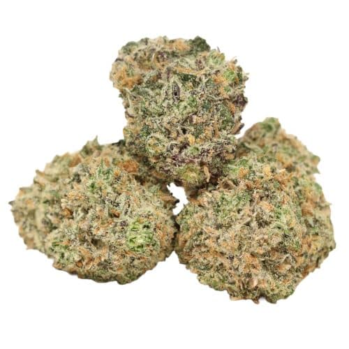 Chemo Kush strain cannabis