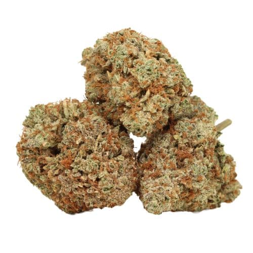 Coma Kush strain cannabis