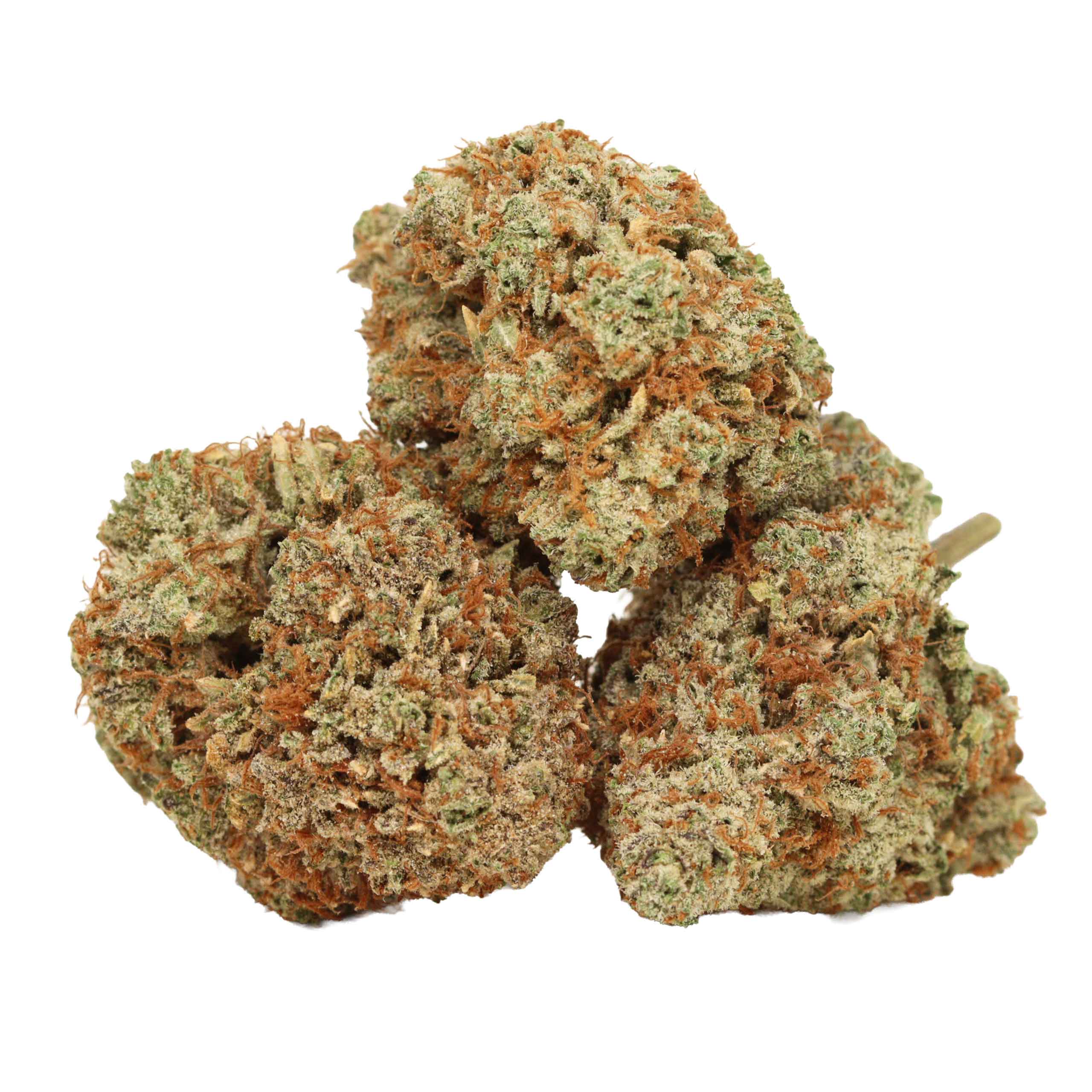 Coma Kush strain cannabis