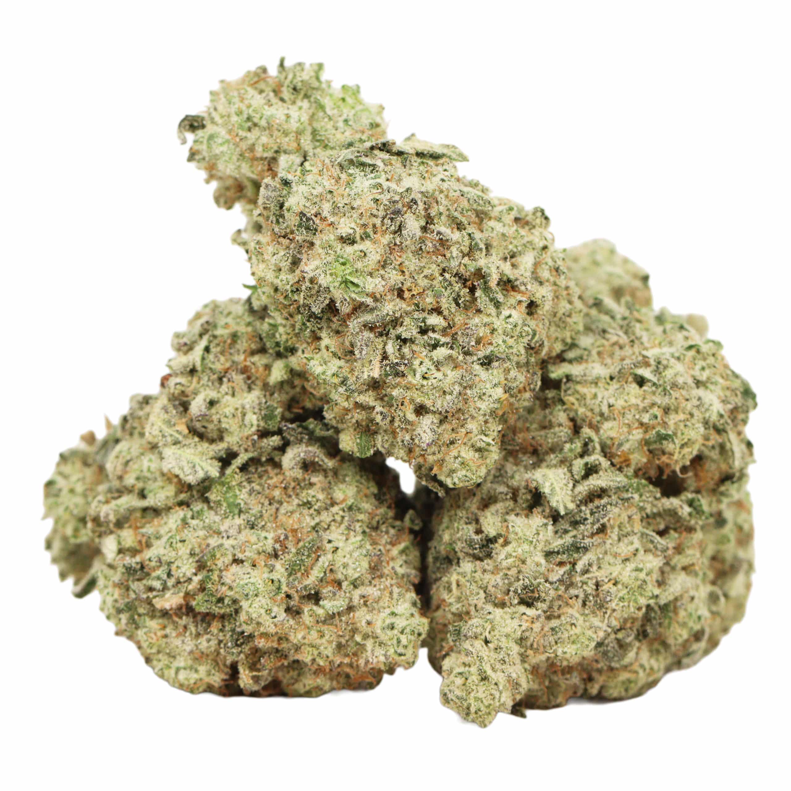 Comatose strain cannabis