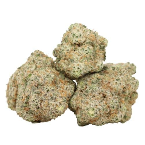 Dos Diablo strain cannabis