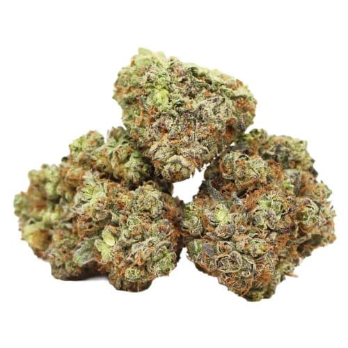 Do Si Do strain cannabis