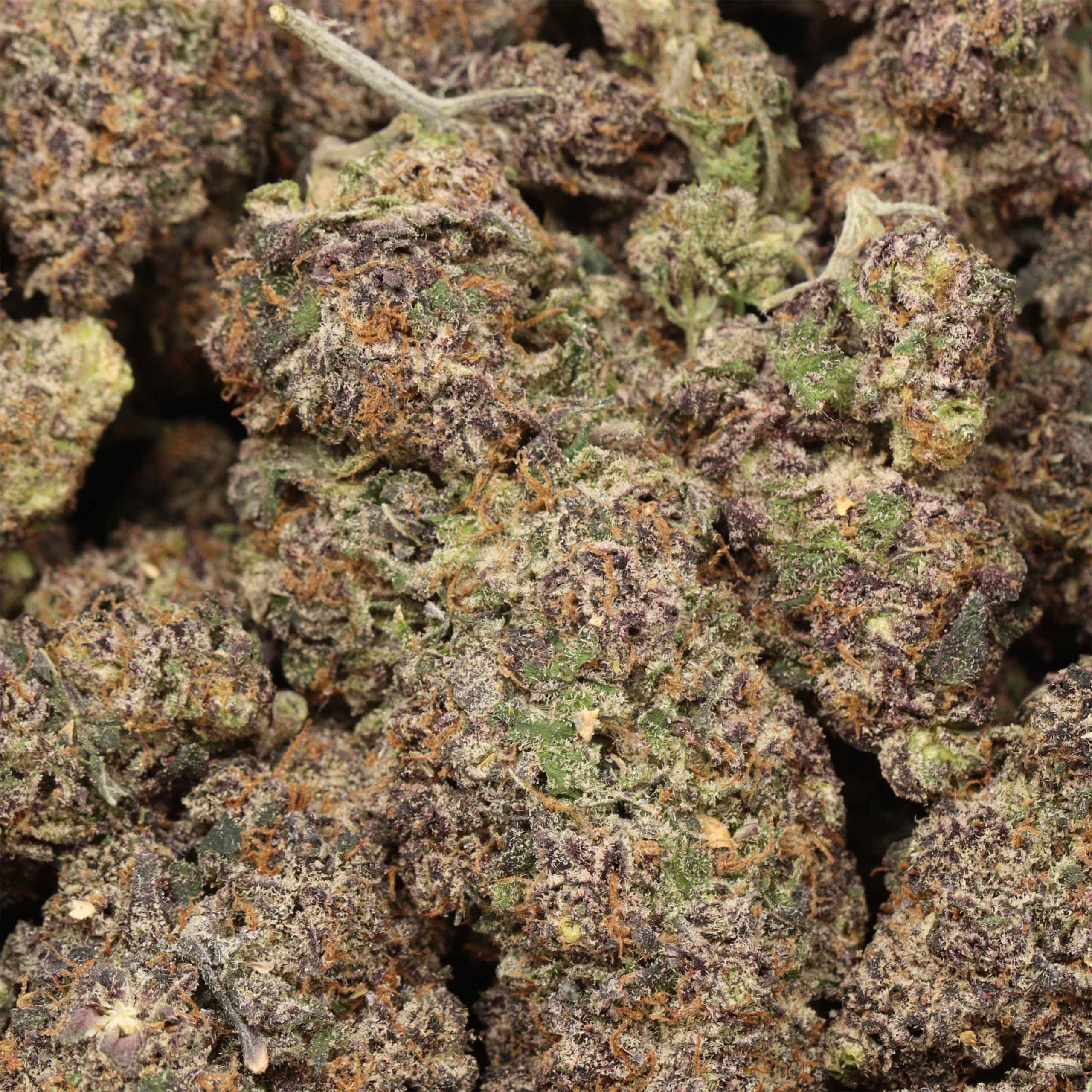 Fortune Cookies cannabis wholesale