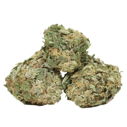 Gas Monkey strain cannabis