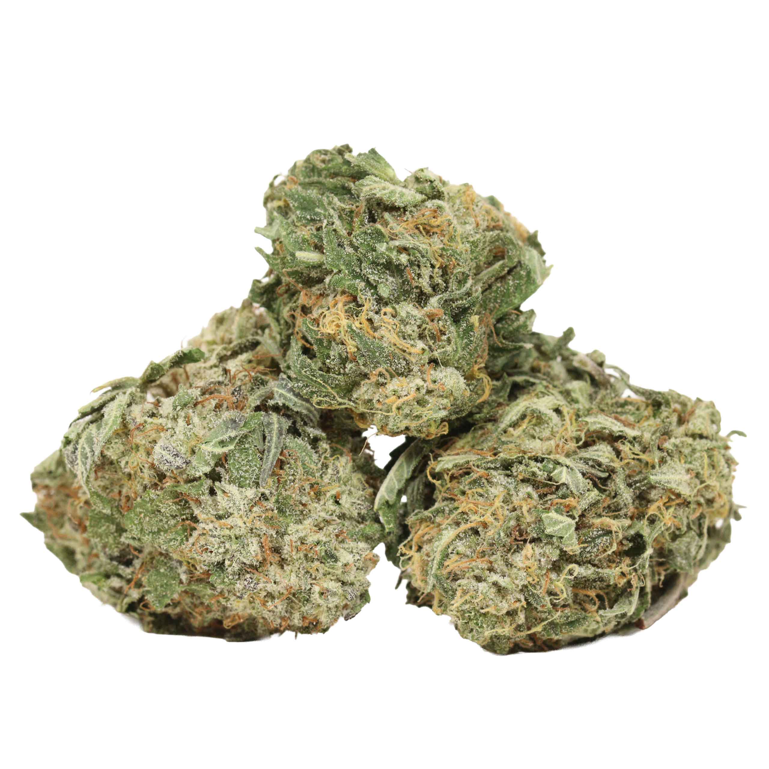 Gas Monkey strain cannabis