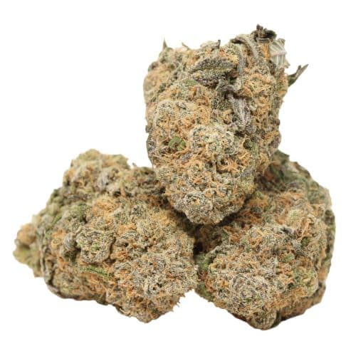 Gelato #33 strain cannabis