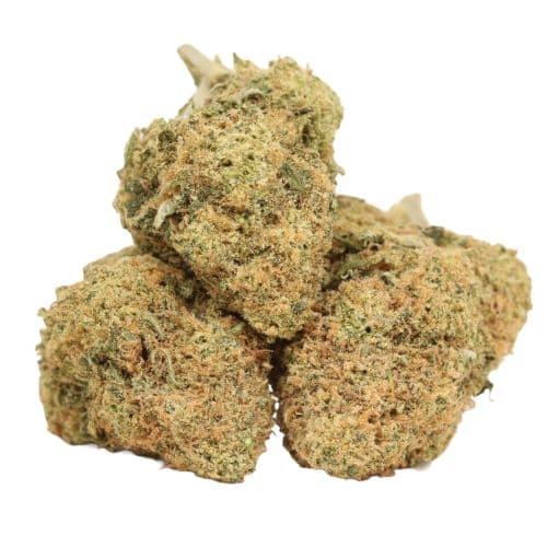 Gelato strain cannabis