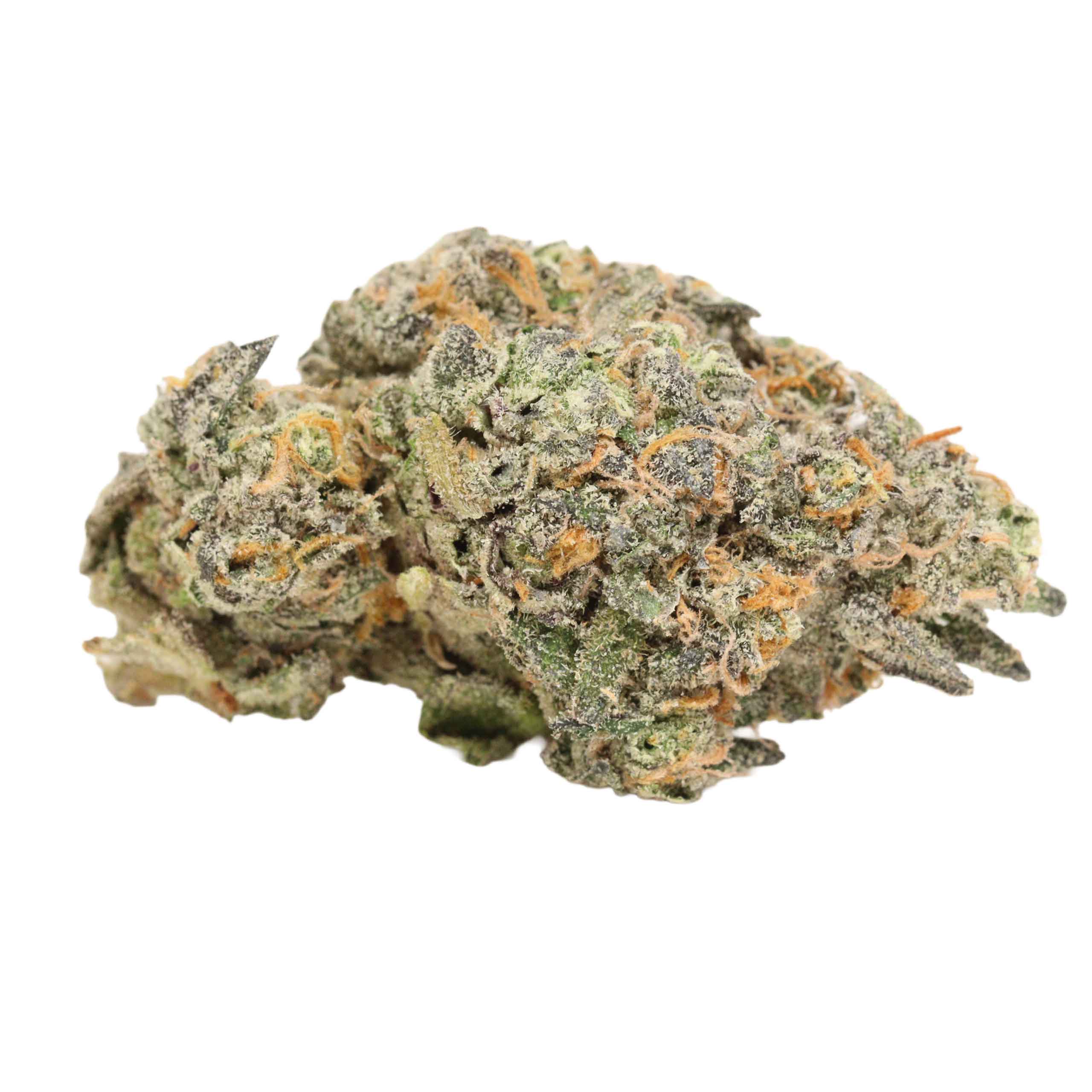 Golden Monkey weed cannabis