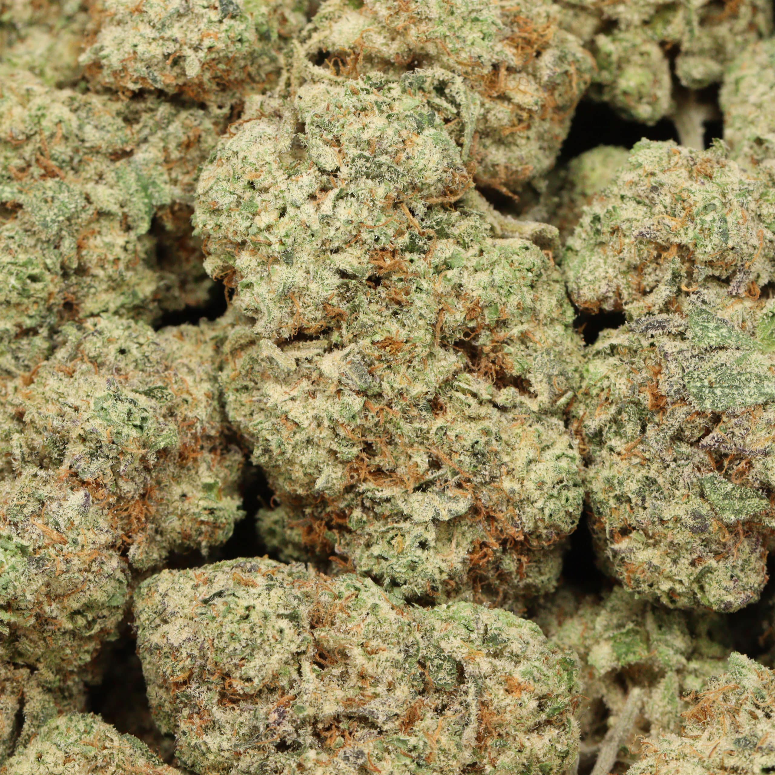 Gorilla Zkittles cannabis wholesale