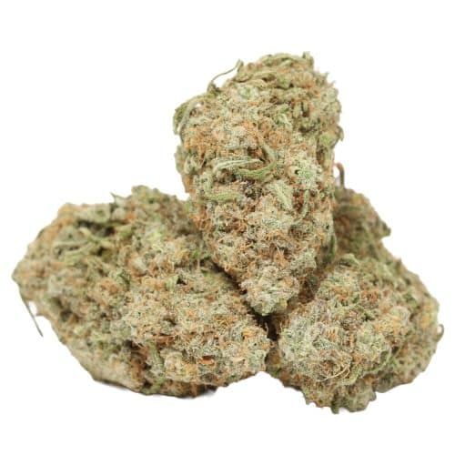 grandaddy purple strain cannabis