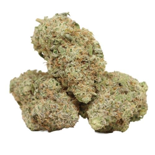 Guava Kush strain cannabis