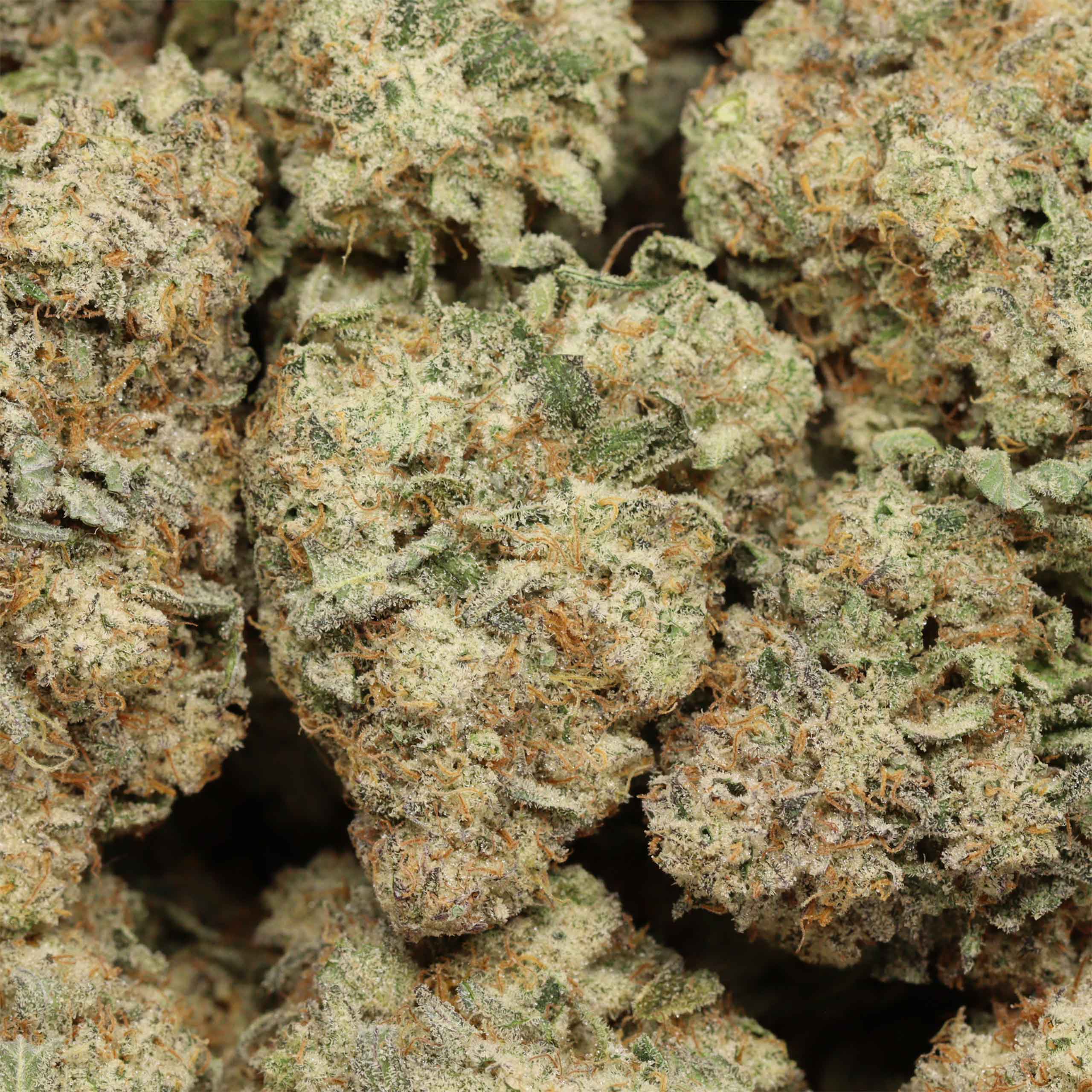 High Octane OG cannabis wholesale