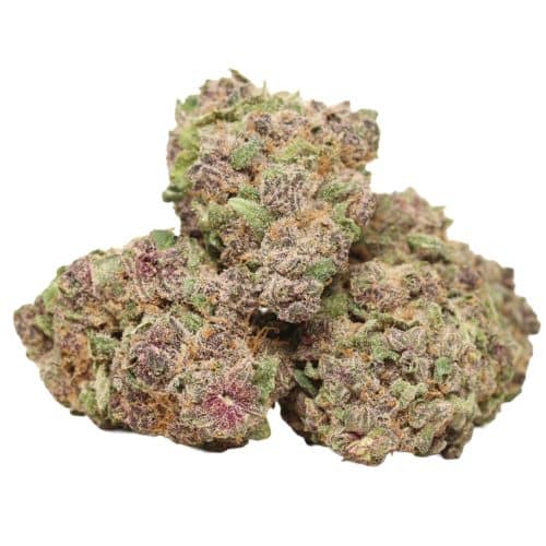 Huckleberry Soda strain cannabis