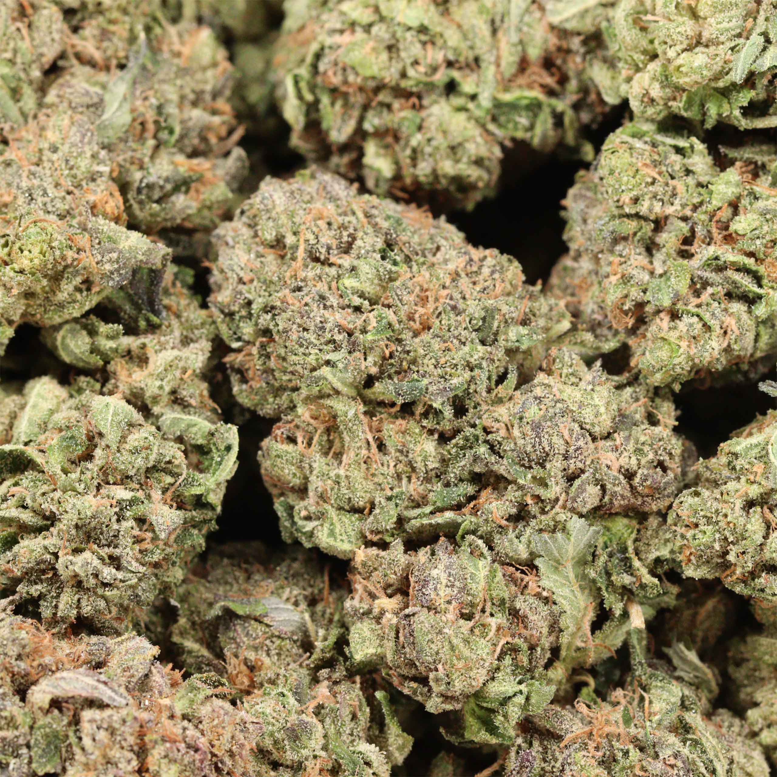 Hydro Death Bubba cannabis