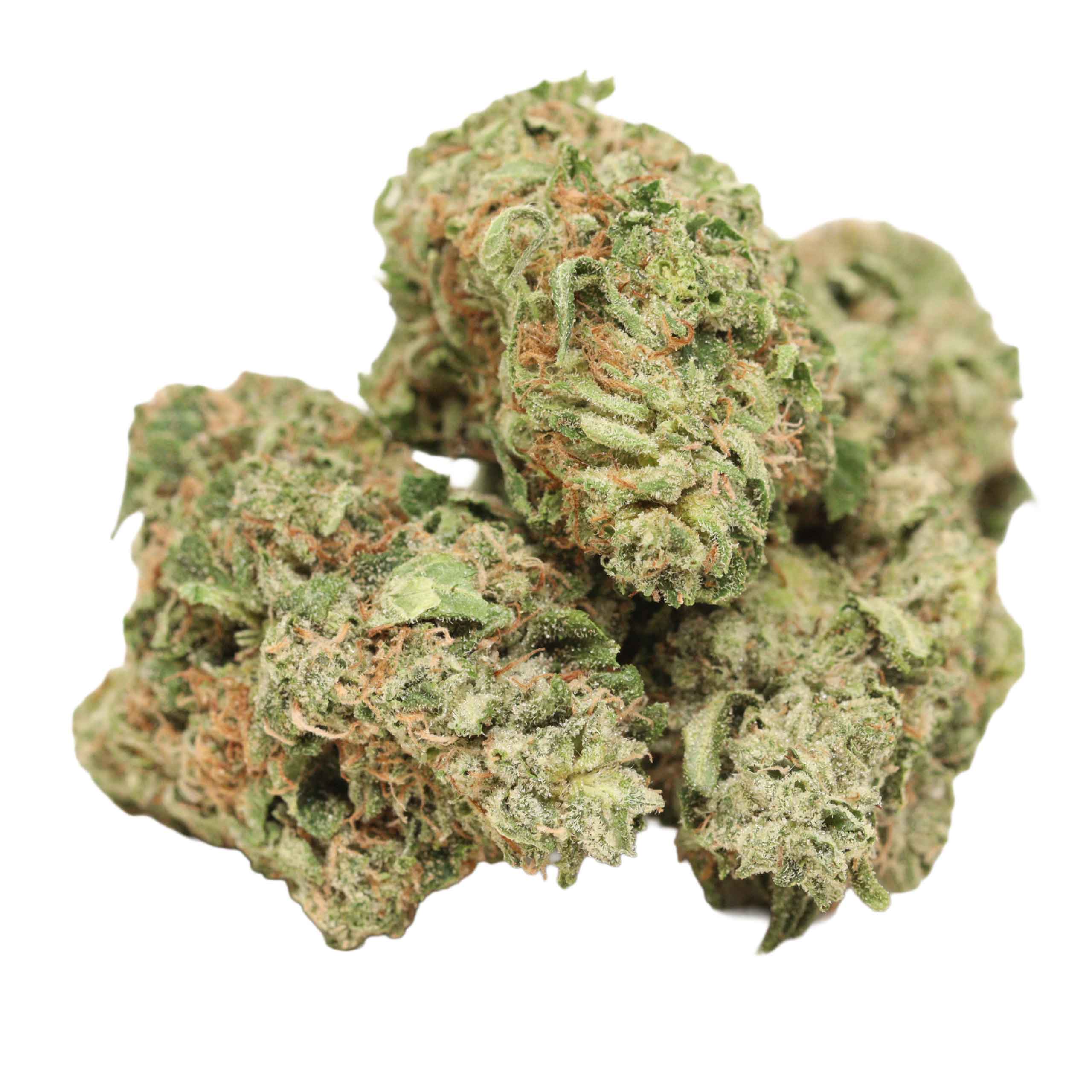 Hydro Pink Kush strain cannabis