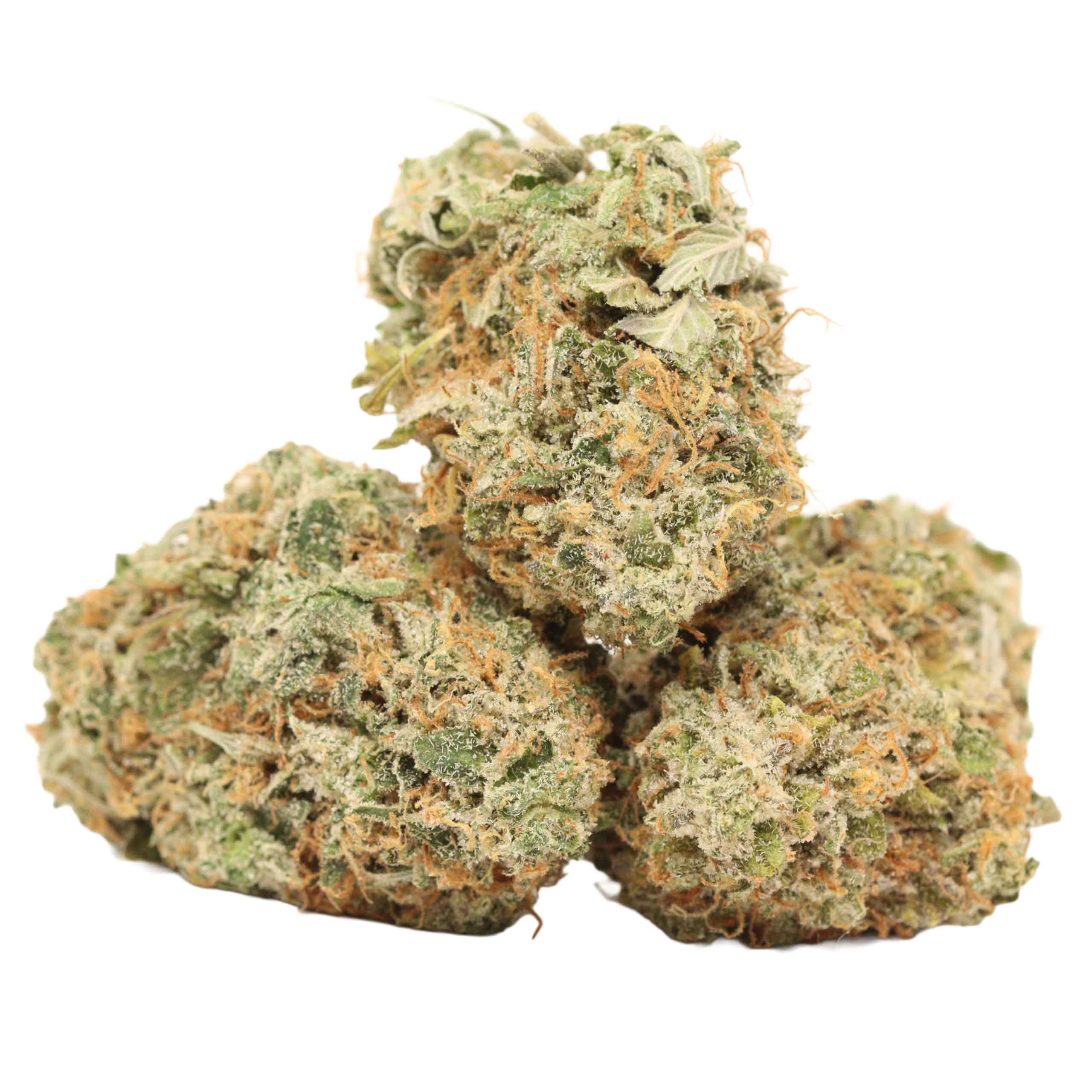 Jungle Mints strain cannabis
