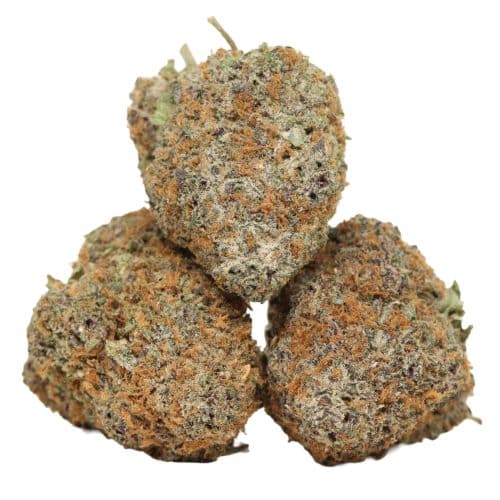 Khalifa Kush strain cannabis