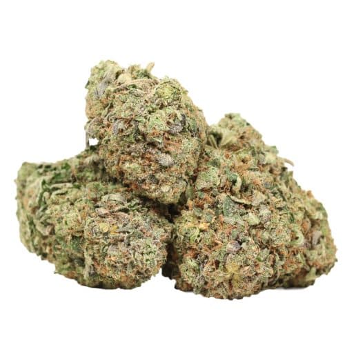 King Louis XIII strain cannabis