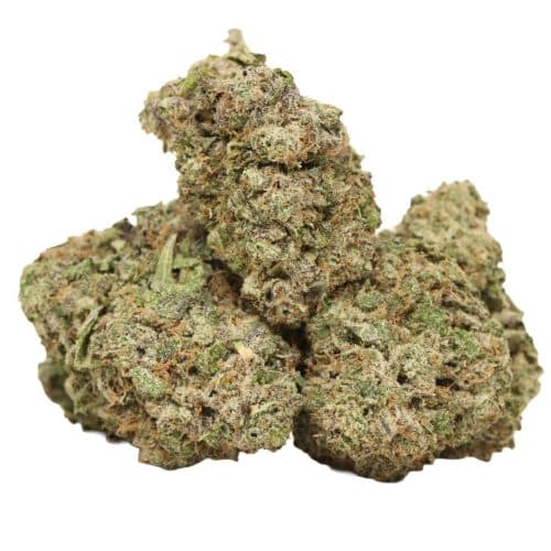 London Truffle strain cannabis