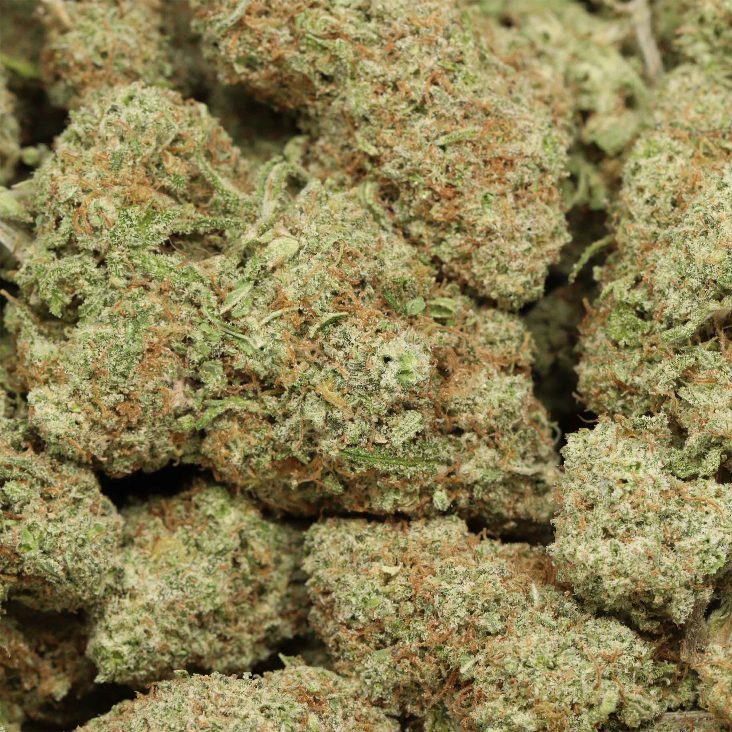 Love Potion #1 cannabis