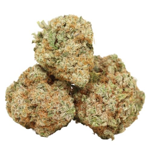 MAC 1 strain cannabis