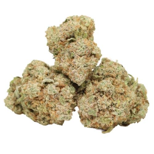 Mac 10 strain cannabis