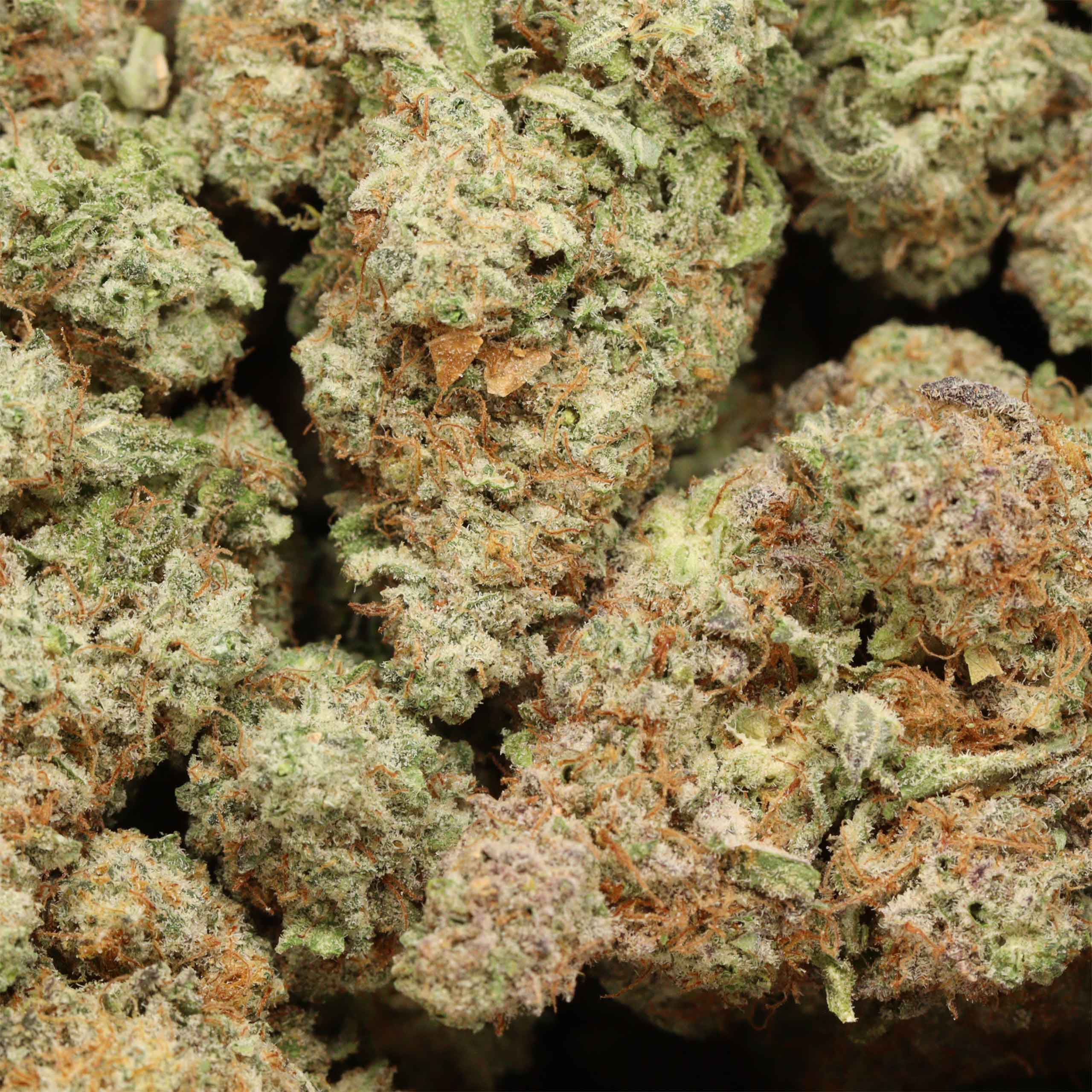Mac 10 cannabis wholesale