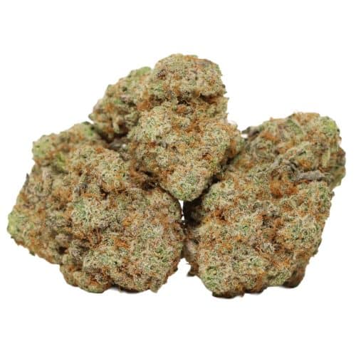 Mac Stomper strain cannabis