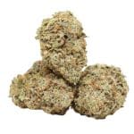 Mango Kush strain cannabis