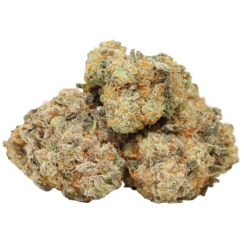 Maui Berry strain cannabis