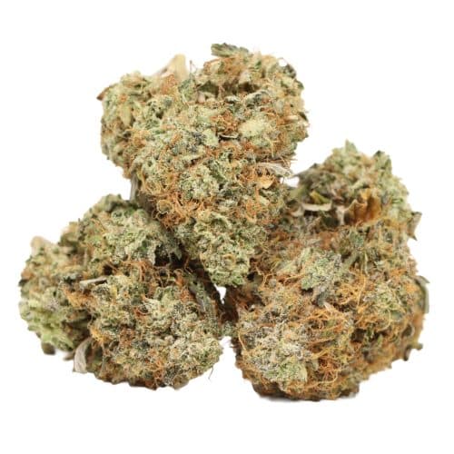 Mike Tyson OG strain cannabis