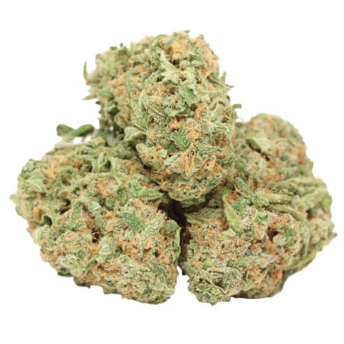 Mimosa strain cannabis