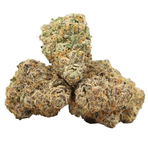 Mule fuel strain craft cannabis